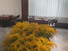 -天天鱼港·海鲜·鲅鱼水饺·招牌烤鸭(黄骅店)