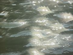 -安吉龙王山峡谷漂流