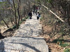 -紫金山山顶公园