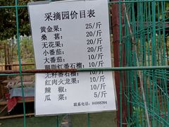 -南沙蒲洲花园