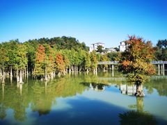 -青山湖景区