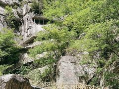 -洛阳白云山景区