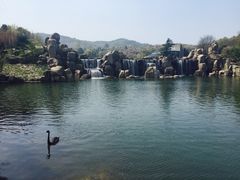 -白马涧龙池景区