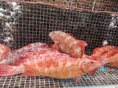 -顺风山庄(水濂山店)