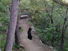 -北京鹫峰国家森林公园