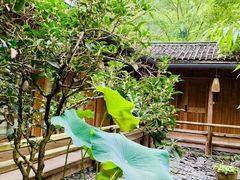 -乐领拈花溪·林涧食韵