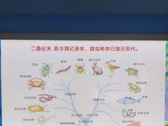 -上海昆虫博物馆