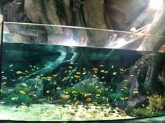 -福州罗源湾海洋世界旅游区