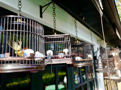 景观位-誉八仙茶室酒楼(新天地店)