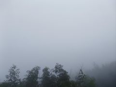 -长沙黑麋峰国家森林公园