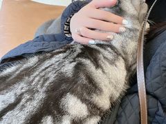 -猫友咖啡店(玉林西路店)