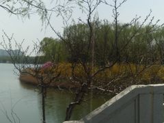 -大兴滨河森林公园