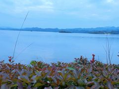 -千岛湖天屿景区
