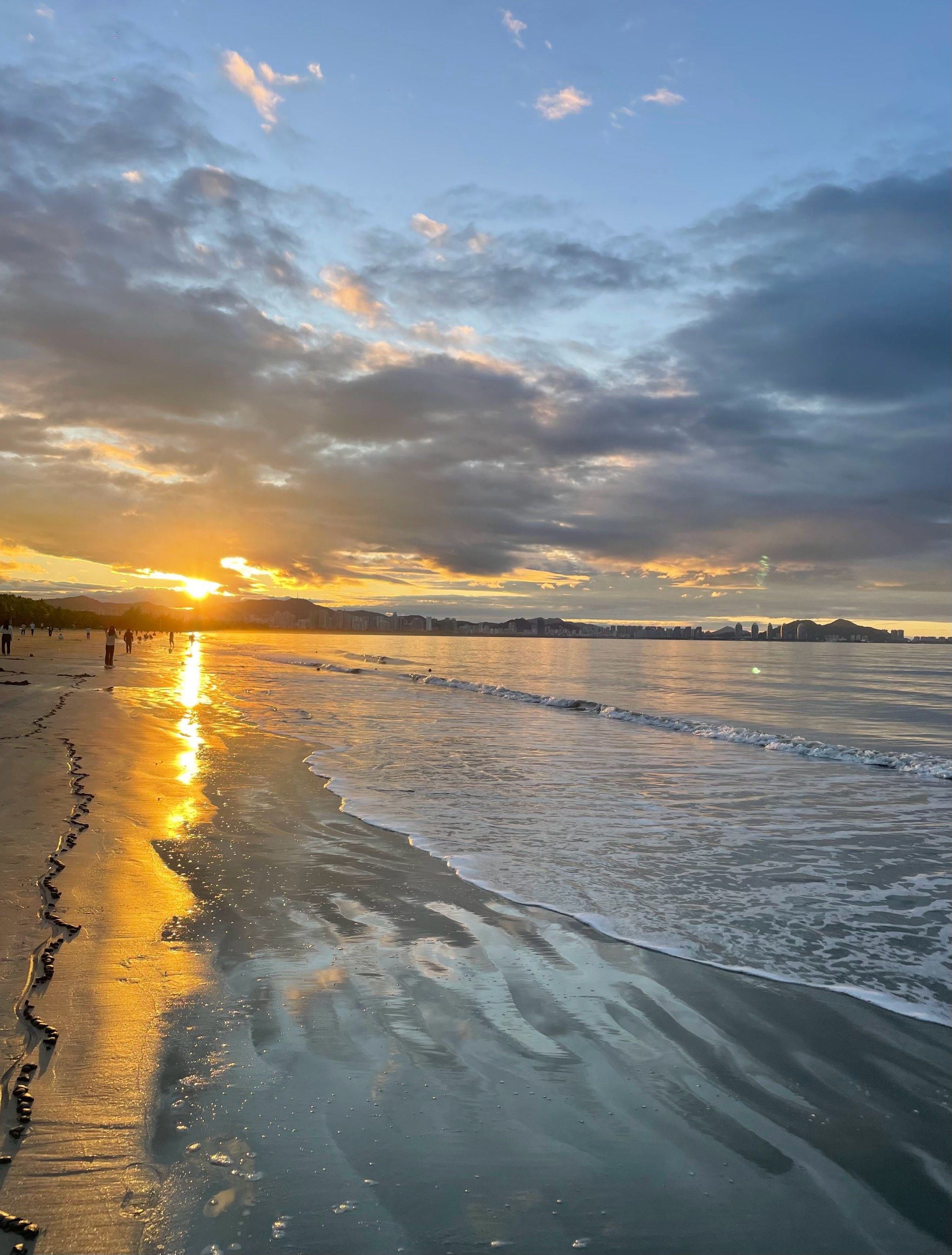 日出🌅看到啦
清晨的椰林美的纯净到极致～
#海边日出 #椰林