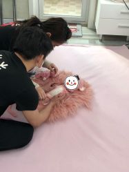 -DeerFriend童趣主题上门拍·到家·外拍摄影机构 (国贸店)