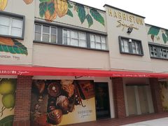 Beryl's 巧克-Belice Chocolate Kingdom