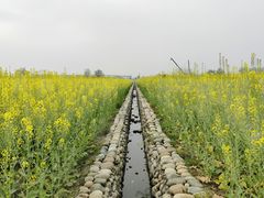 -中国天府农业博览园