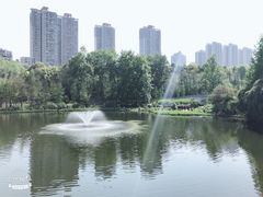 -重庆彩云湖湿地公园