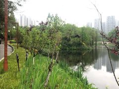 -重庆彩云湖湿地公园