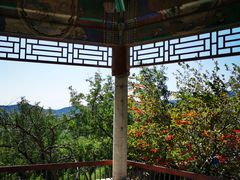 -白水寺森林公园