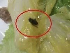 -佰家小厨·南京菜(夫子庙店)