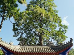 -黔灵山公园