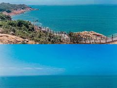 -广东惠东海龟国家级自然保护区