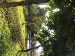-荔枝公园-小平画像广场