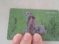 -好利来(抚顺乐购店)