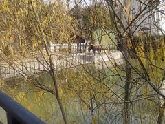 -金庭庄园酒店-停车场