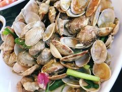 姜葱炒花甲-七鲜渔港美食餐厅(巽寮湾海景店)