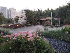 -莲花山公园
