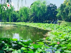 -清华大学-观畴园餐厅