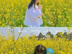 -桤木河湿地公园