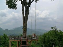 景点-大树秋千