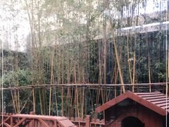 -上海崇明金茂凯悦酒店