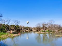 -西溪国家湿地公园