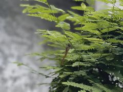 -千灯古镇