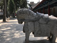 -关林