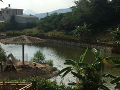 -泉州海丝野生动物世界