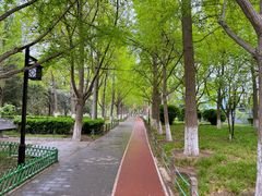 -宣武艺园