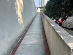-长沙简牍博物馆
