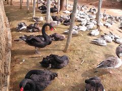 -艾溪湖湿地公园