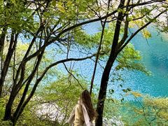 -叠溪松坪沟景区