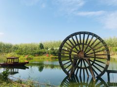 -合肥滨湖国家森林公园