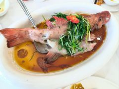 -东江渔村·古典园林·30年粤菜老字号(太和店)