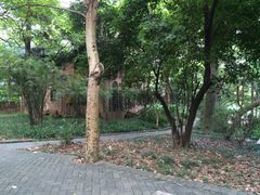 -中山大学学者灵芝(园南路店)
