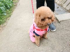 -骐奇宠物诊疗中心(南亭公路店)