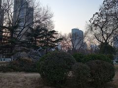 -和平区健康主题公园