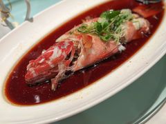 东星斑-申粤轩酒楼·三十年粤菜经典(丁香花园店)